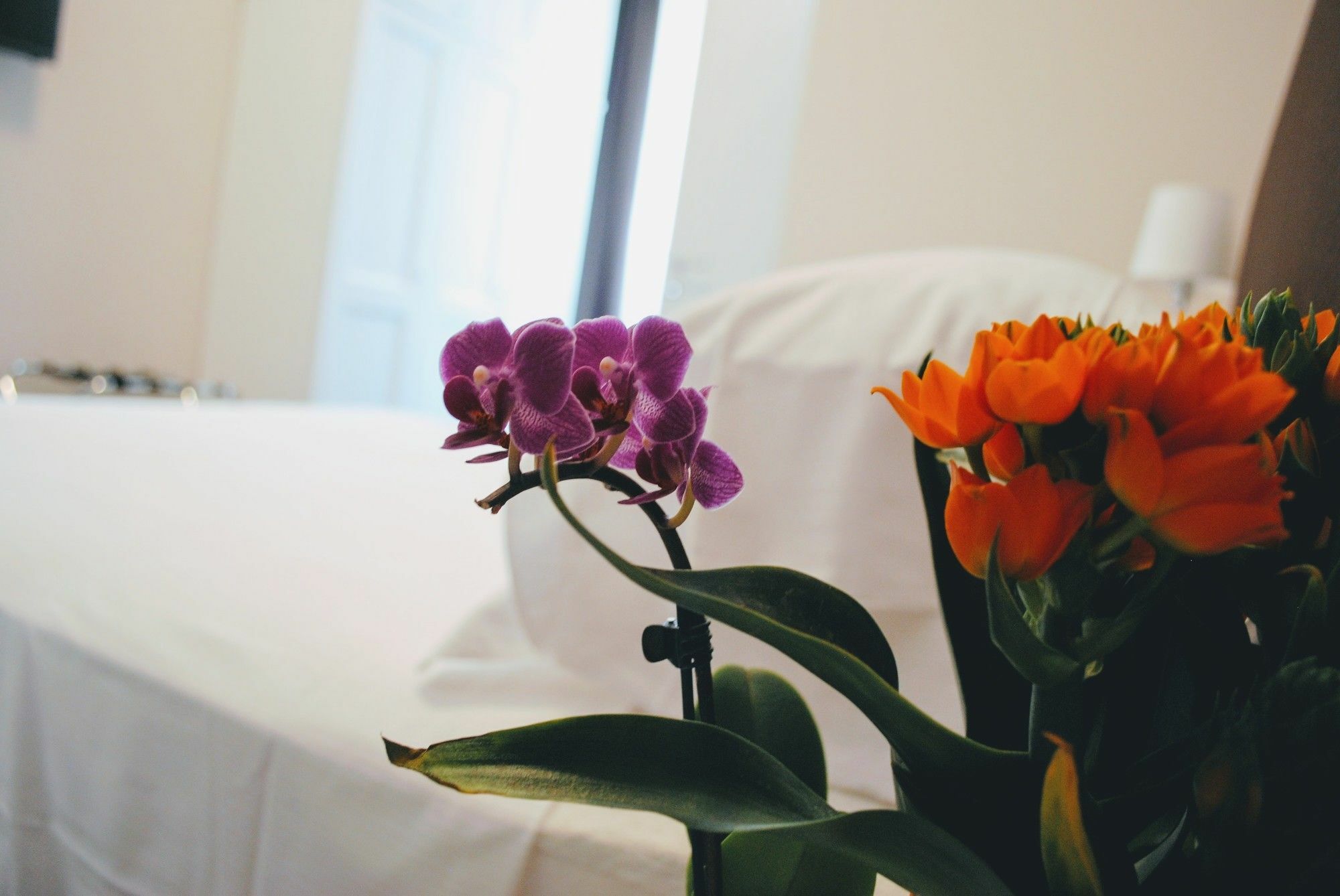 Guest House Cavour 278 โรม ภายนอก รูปภาพ